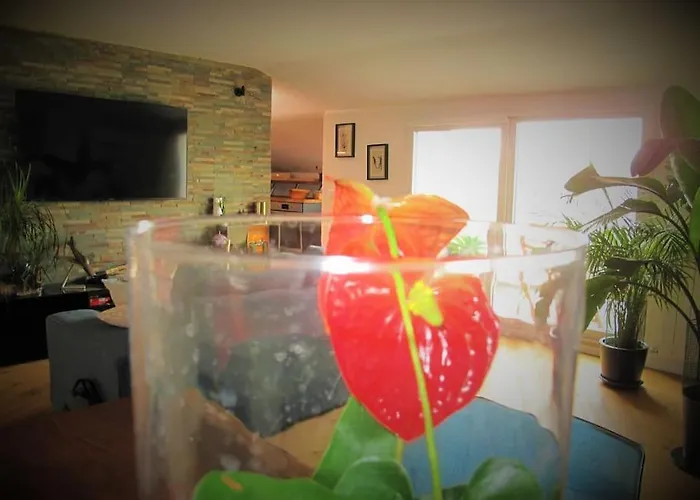 Appartamento Prati Fiscali Penthouse *